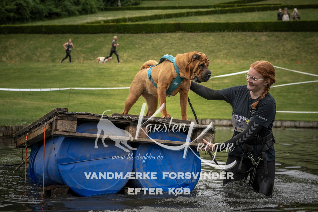 1102_ZZ95880 | kk-dogfotos