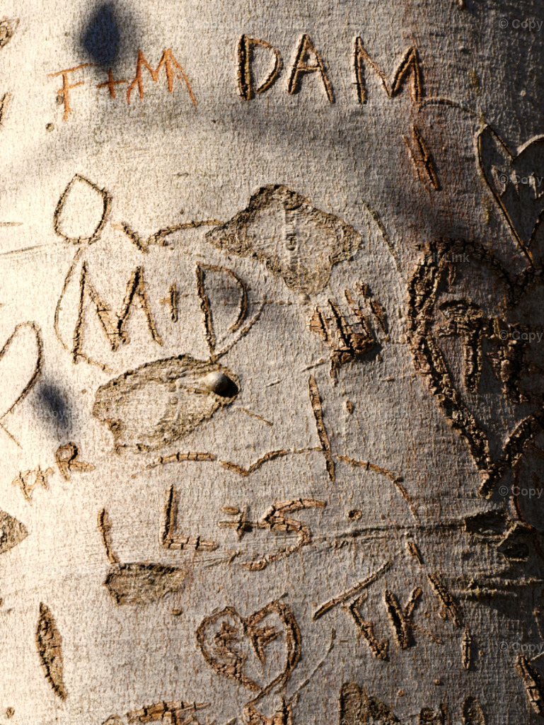 Baumrinde mit Inschrift_01 | Stockfotos, Fotos mit Miniaturfiguren und kreativen Ideen. Dabei auch vieles aus der Metropolregion Rhein-Neckar. 