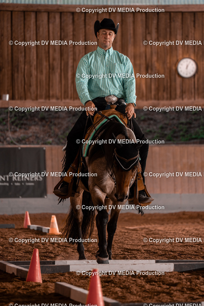 NE300013 | dv-media-shop - Realisiert mit Pictrs.com