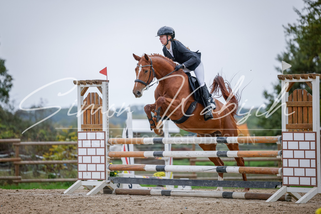20251012-_3LI4003 | Tierfotografie Pferde, Hunde, Katzen, Haustiere.
Turnierfotografie Reitturniere, Reiten, Springreiten, Dressur in Hanau, dem Main-Kinzig-Kreis und dem Rhein-Main- Gebiet um Frankfurt