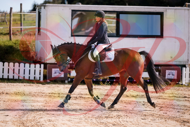 2026_10_03_Siefer-Hof_143549_Z81_04942571 | Professionelle Reitsport-, Turnier- und Eventfotografie von Robert Broda. Galerien mit ausgewählten und bearbeiteten Bildern direkt online ansehen und bestellen.