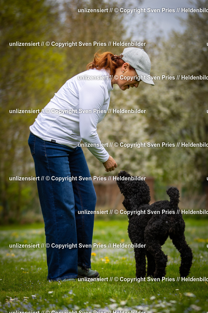 Sven Pries | 2025-04-13 - Hunderennen Baden-Baden - Realisiert mit Pictrs.com