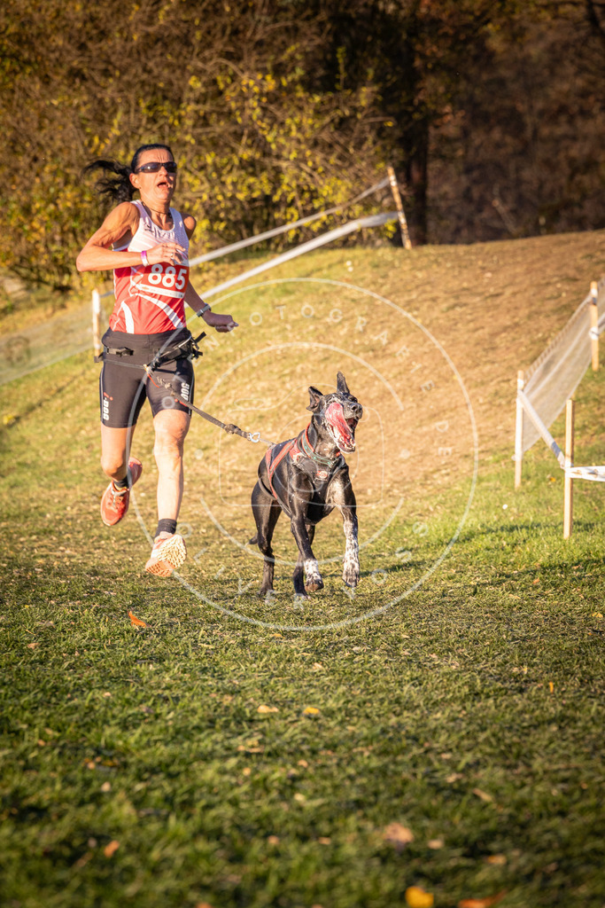 CaniXpix_0L8A1245 | Hundefotografie, Tierfotograf, Pfotenfotografie, Fotoshooting Hund, Hunde Portrait, Hundesport, Hundeportraits, Heideshooting, Hunde, Sportfotograf, Hundefotograf, Turnierhundsport, THS,  - Realisiert mit Pictrs.com