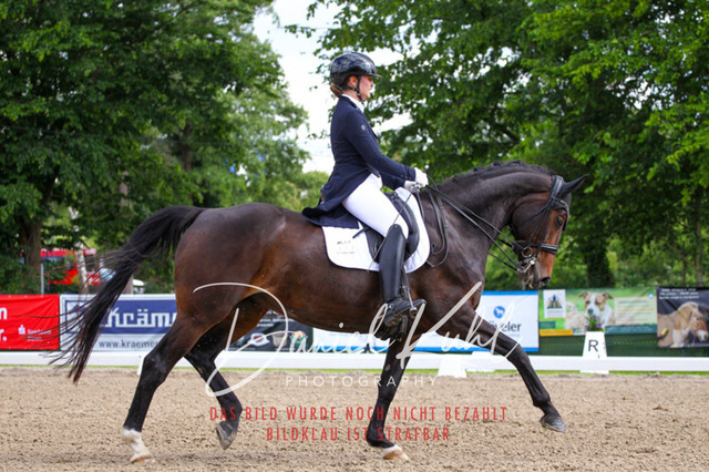 DKP41462 | Deine Turnierfotos vom Reitturnier online kaufen: Dressur, Springen & Siegerehrung. Professionelle Pferdefotografie aus dem Rheinland – als Download & Print.Alternative: Turnierfotograf für den Pferdesport: Finde deine Fotos von Dressur- und Springturnier