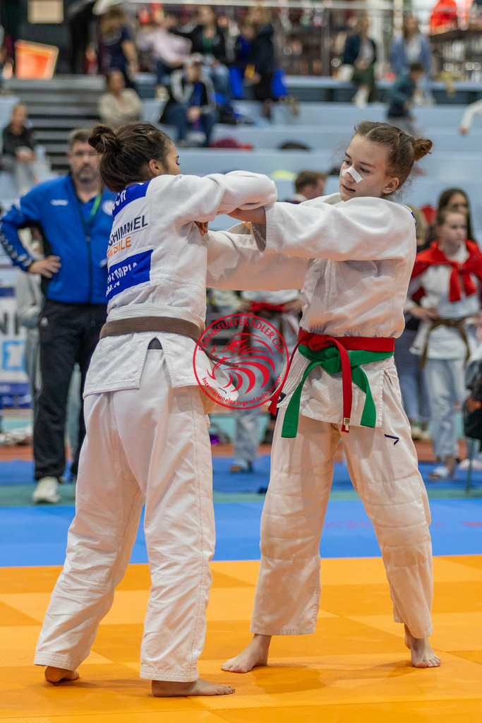 Internationaler Adler Cup 2024 | Foto vom Internationalen Adler Cup Judo Turnier im Sport- und Freizeitzentrum Kalbach im Oktober 2024 - Realisiert mit Pictrs.com