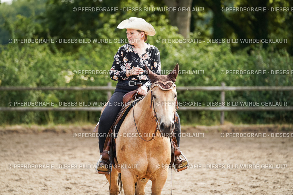 DSC04621 | Pferdegrafie