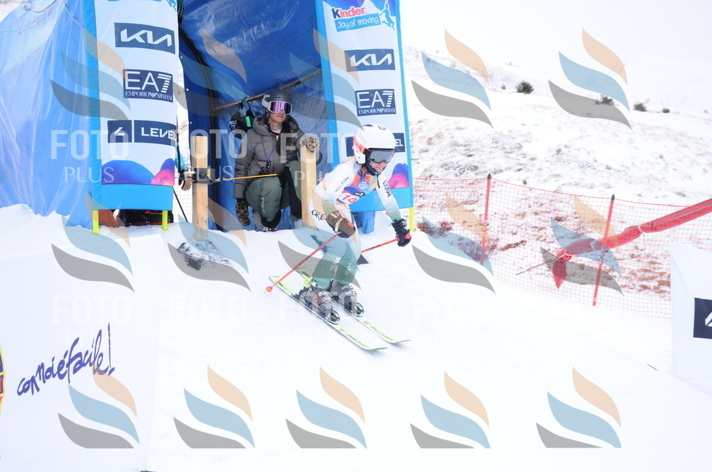 DSC_8692 | holidayphoto