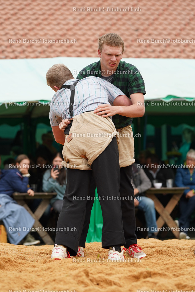 20220423-DSC08668 (2) | René Burch leidenschaftlicher Fotograf aus Kerns in Obwalden.  Hier finden sie Sport, Landschaft und Natur Fotografie.
 - Realisiert mit Pictrs.com