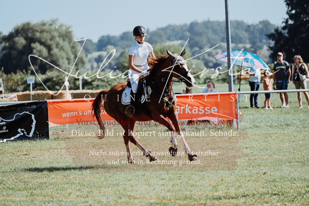 DSC_5601 | Pferde- und Turnierfotografie in Westsachsen. Pferdeportraits, Auftragszeichnungen und intuitive Kunst.