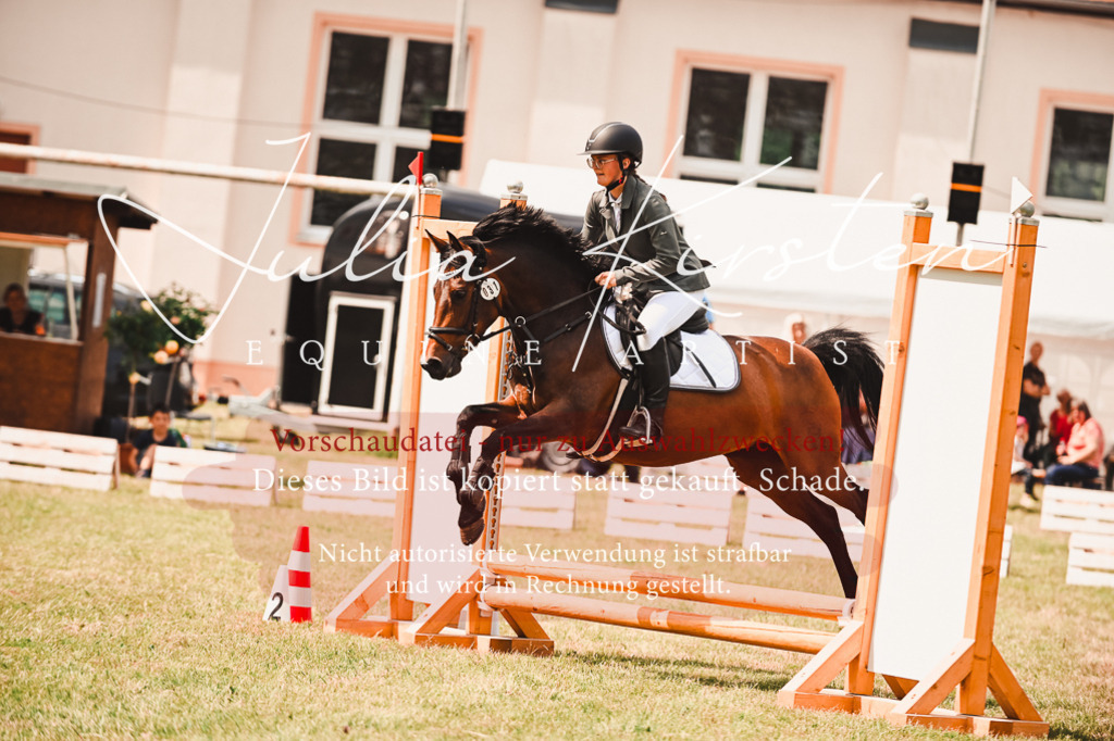 DSC_6915 | Pferde- und Turnierfotografie in Westsachsen. Pferdeportraits, Auftragszeichnungen und intuitive Kunst.