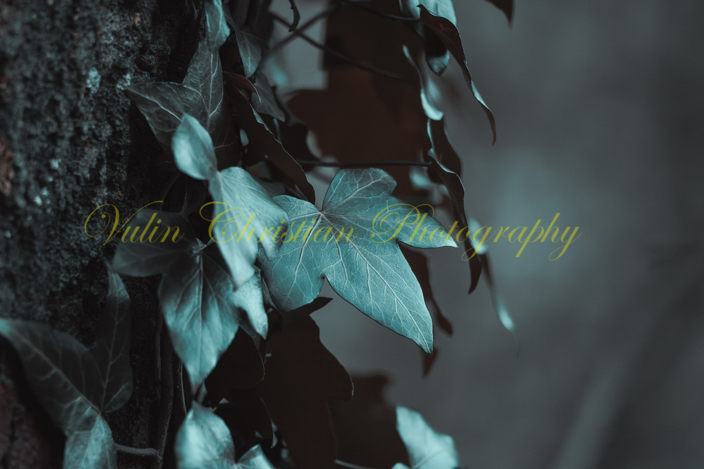 P 72 | Christian Vulin  - Realisiert mit Pictrs.com