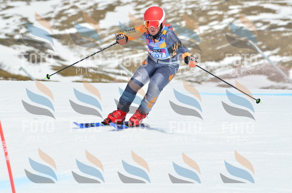 _ELE2281 | holidayphoto