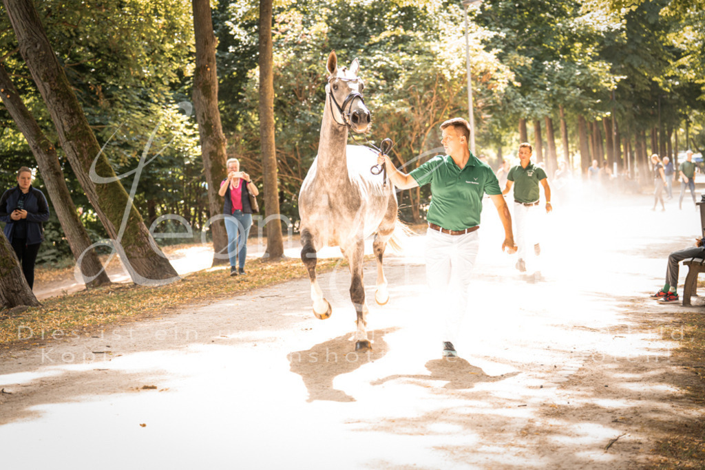 FrPfM00177 | Leoni Ertmer Photography - Realisiert mit Pictrs.com