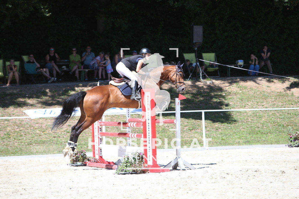 PP014961 | Willkommen bei Brunnmayr - Design & Fotografie – Ihrem Spezialisten für Reitturniere und Pferdeveranstaltungen in Oberösterreich, Salzburg und Bayern! Seit über 17 Jahren sind wir leidenschaftlich dabei.