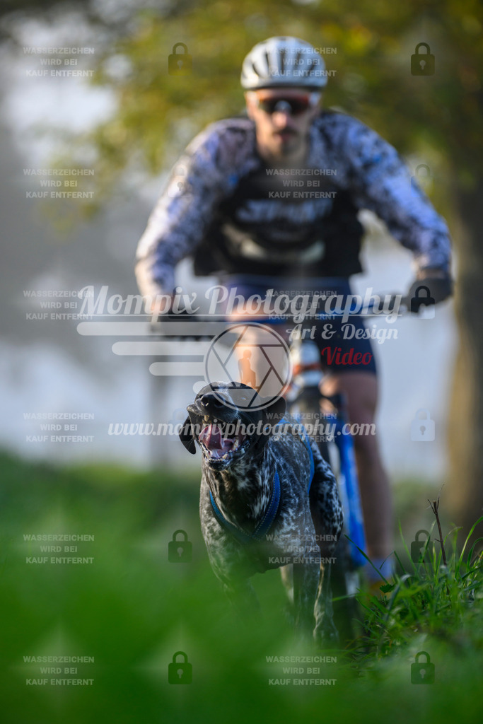 MompixPhotography_20TSB_E3_Bike-15 | PayLife