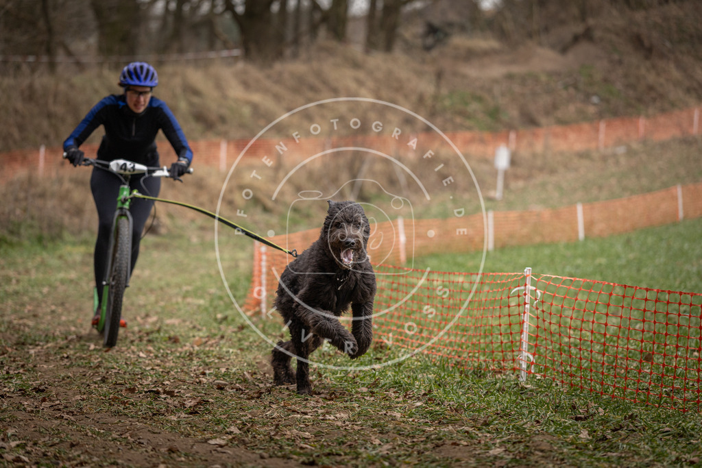 Pfotenfotografie_DV3A0648 | Hundefotografie, Tierfotograf, Pfotenfotografie, Fotoshooting Hund, Hunde Portrait, Hundesport, Hundeportraits, Heideshooting, Hunde, Sportfotograf, Hundefotograf, Turnierhundsport, THS,  - Realisiert mit Pictrs.com