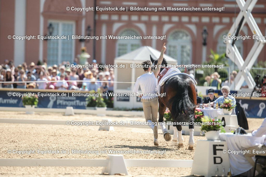 20230528_Voltigieren_NASPA_0158 | equistock