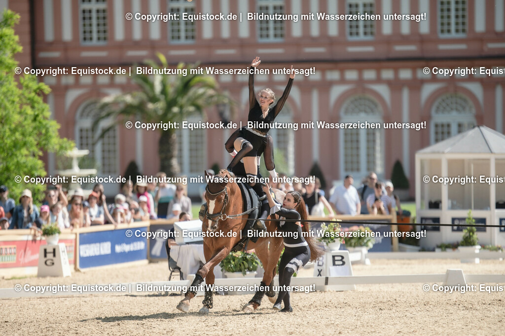 20230528_Voltigieren_NASPA_0584 | equistock