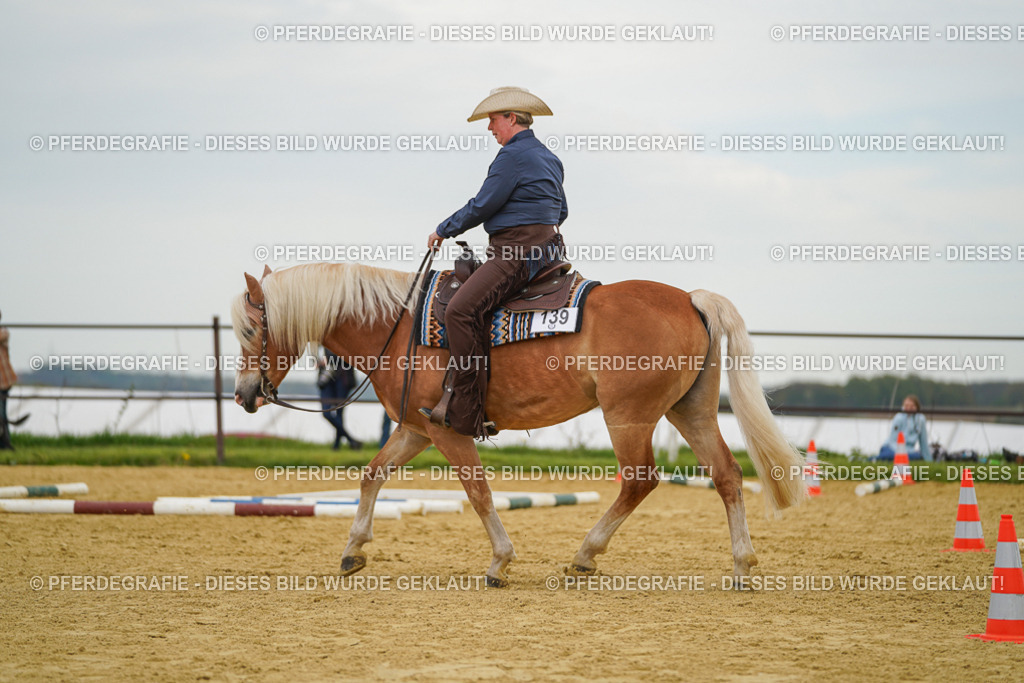 DSC02794 | Pferdegrafie