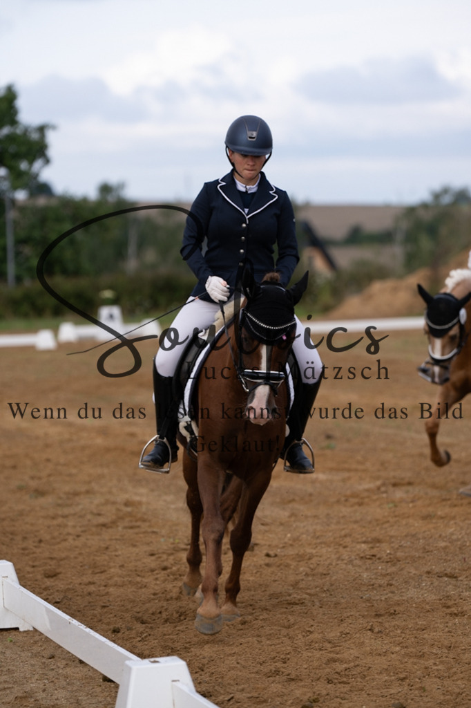 A7V03774 | Turnier/Reitfotograf