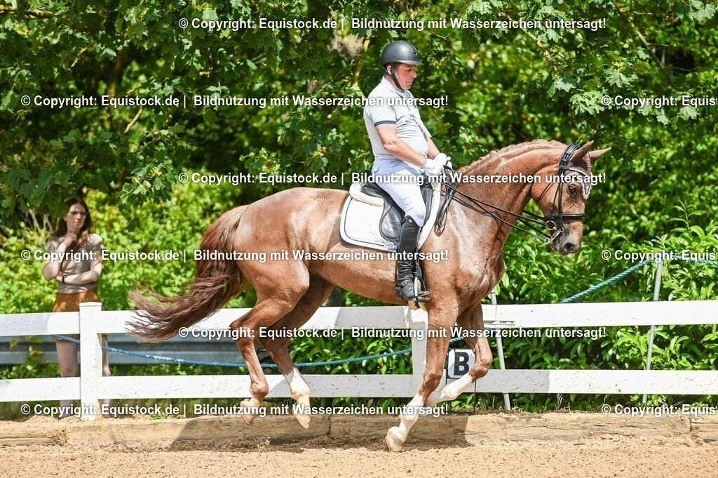 20230716_01_Dressurprüfung Kl.M_0078 | equistock