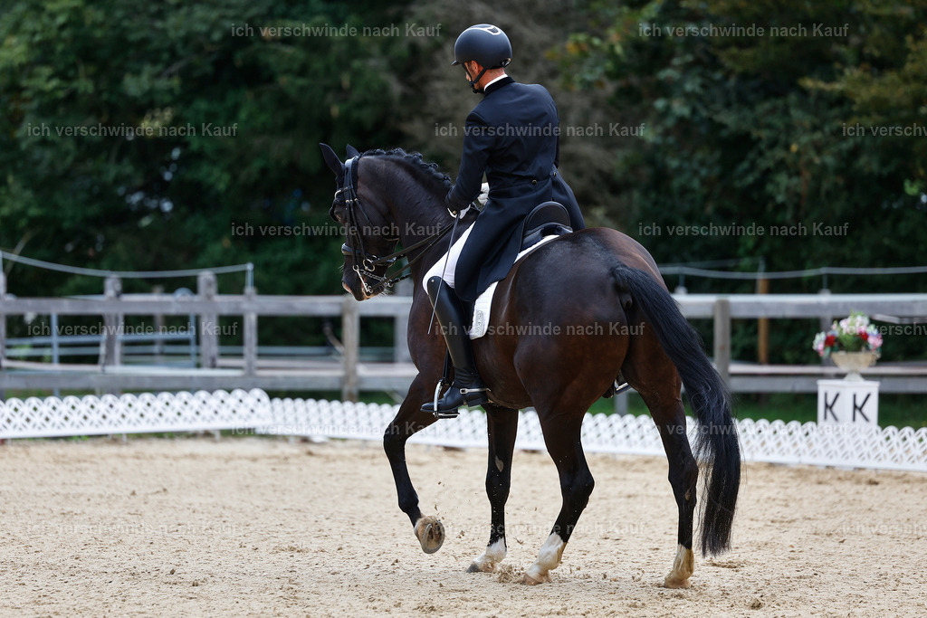 8_1-045-Klasse S_  -StoibPH-3805 | working equitationturnier fotograf videograf stoibphotography marixx film working equitation deutschland reitsport turnierfotografie eventfotografie equestrian events