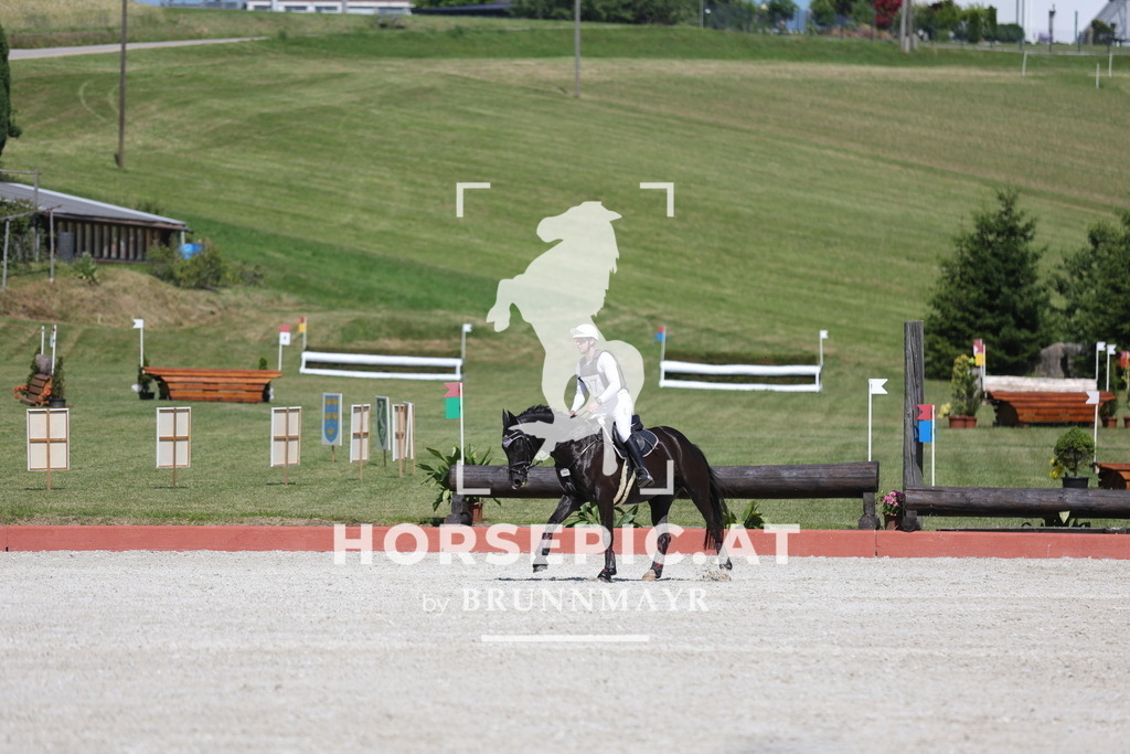 0P6A5477 | Willkommen bei Brunnmayr - Design & Fotografie – Ihrem Spezialisten für Reitturniere und Pferdeveranstaltungen in Oberösterreich, Salzburg und Bayern! Seit über 17 Jahren sind wir leidenschaftlich dabei.