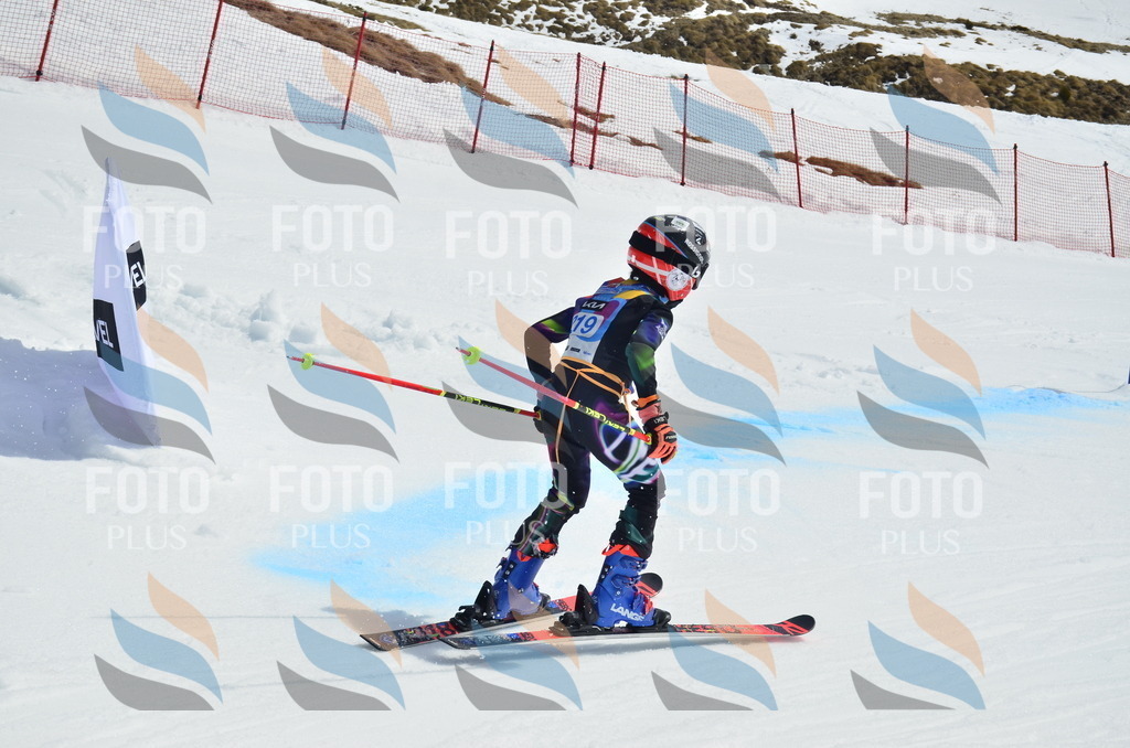 _ELE1540 | holidayphoto