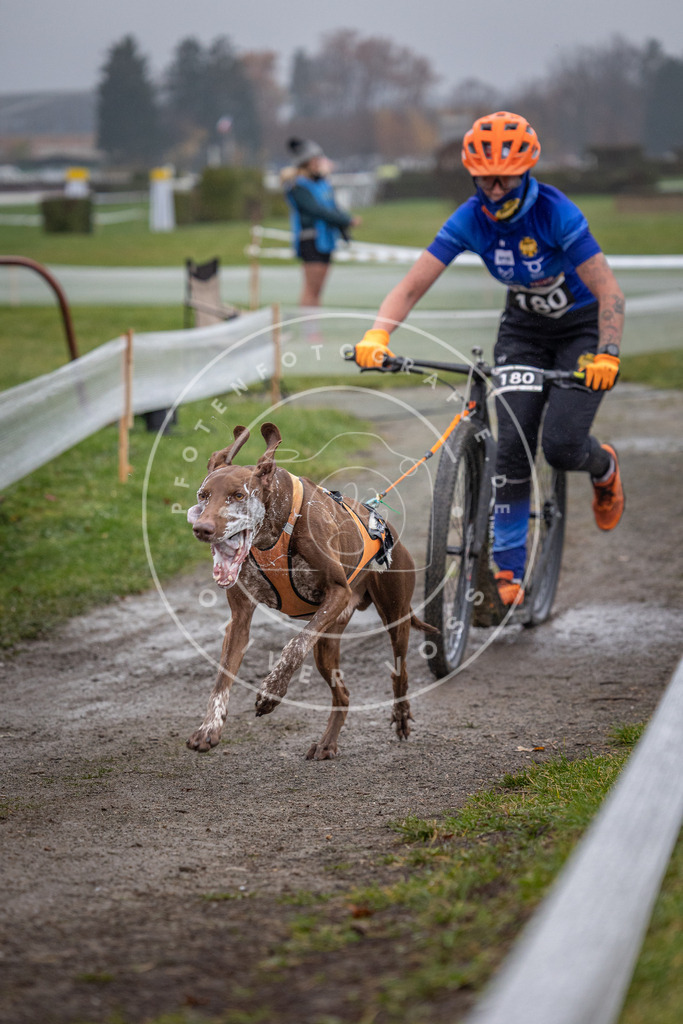 CaniXpix_0L8A0754 | Hundefotografie, Tierfotograf, Pfotenfotografie, Fotoshooting Hund, Hunde Portrait, Hundesport, Hundeportraits, Heideshooting, Hunde, Sportfotograf, Hundefotograf, Turnierhundsport, THS,  - Realisiert mit Pictrs.com