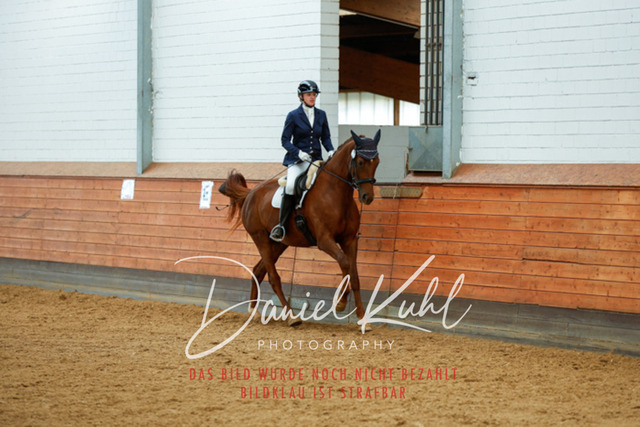 _62_5883 | Turniersportfotografie; Pferdefotografie; Dressurfotografie