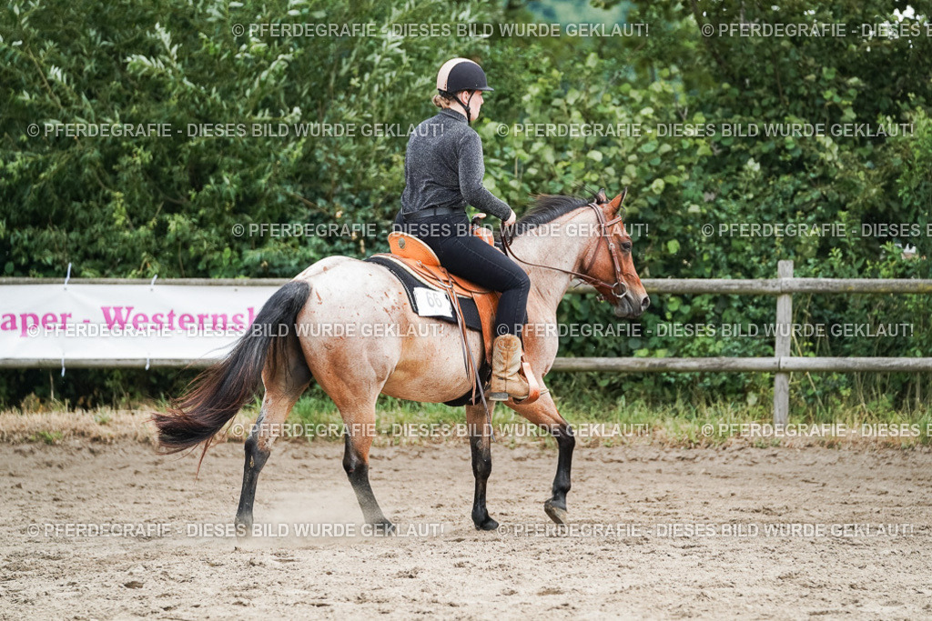 DSC04495 | Pferdegrafie