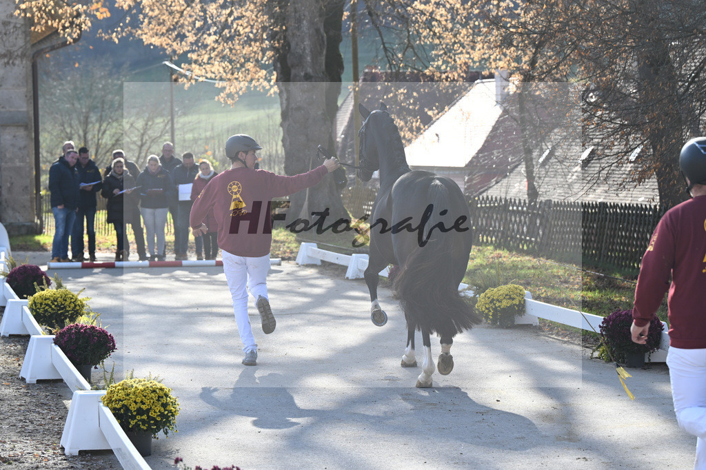 Impressionen_47253950 | hf-fotografie - Realisiert mit Pictrs.com