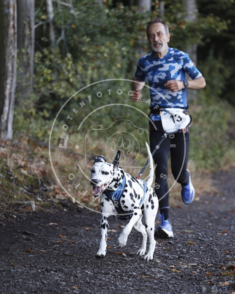 0L8A1403 | Hundefotografie, Tierfotograf, Pfotenfotografie, Fotoshooting Hund, Hunde Portrait, Hundesport, Hundeportraits, Heideshooting, Hunde, Sportfotograf, Hundefotograf, Turnierhundsport, THS,  - Realisiert mit Pictrs.com