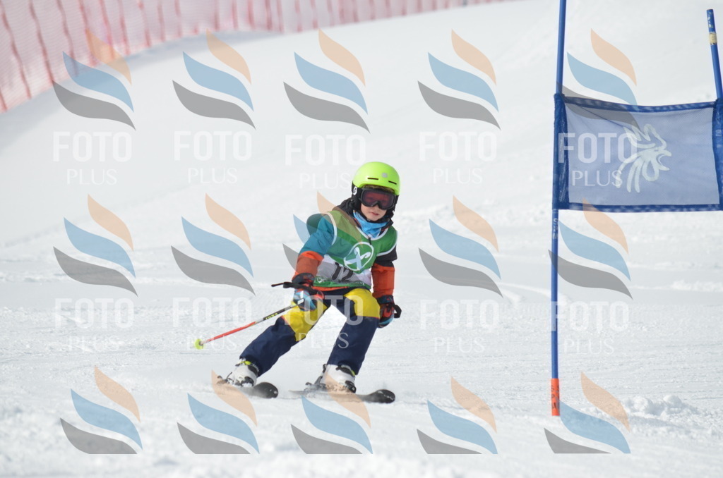 D8541 | holidayphoto