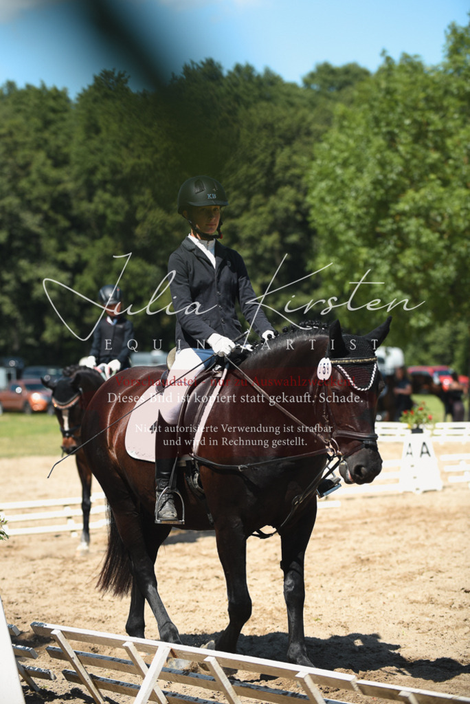 DSC_2337 | Pferde- und Turnierfotografie in Westsachsen. Pferdeportraits, Auftragszeichnungen und intuitive Kunst.