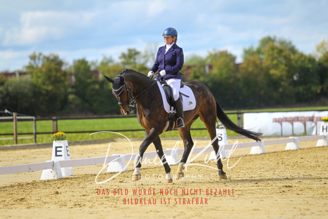 DKP44295 | Turniersportfotografie; Pferdefotografie; Dressurfotografie