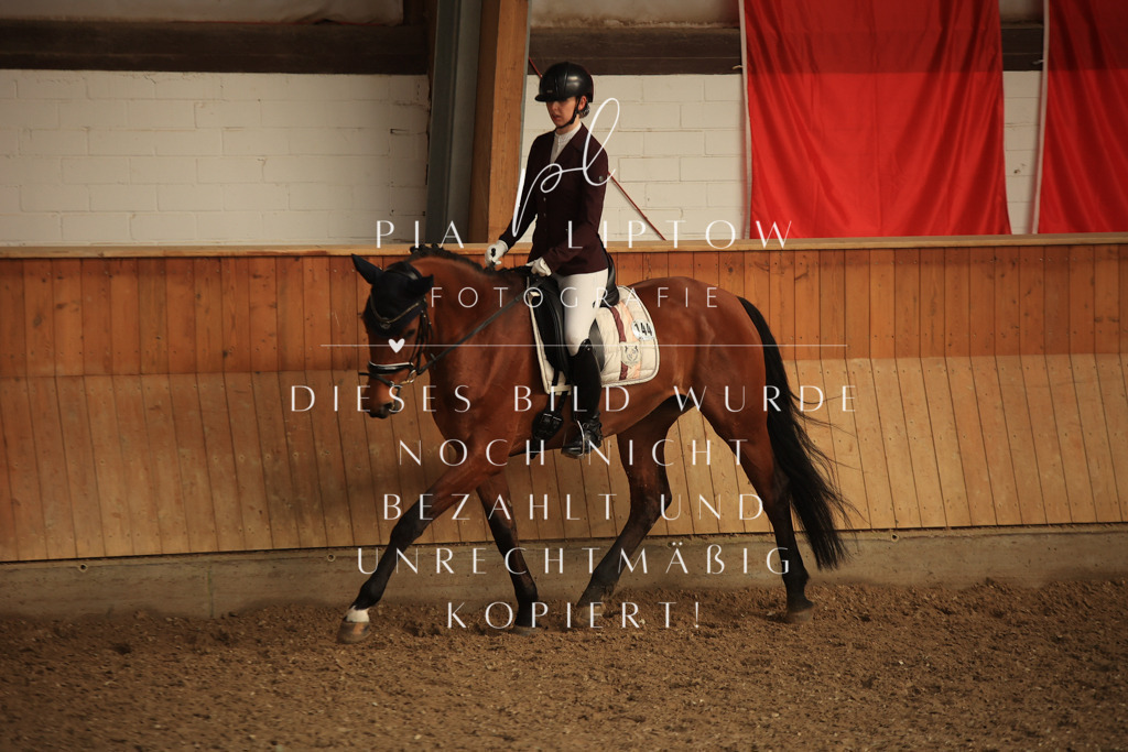 IMGT4705 | pl-fotografie