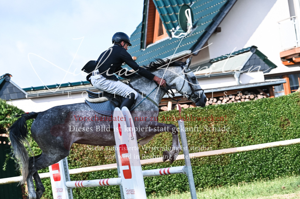 DSC_7510 | Pferde- und Turnierfotografie in Westsachsen. Pferdeportraits, Auftragszeichnungen und intuitive Kunst.