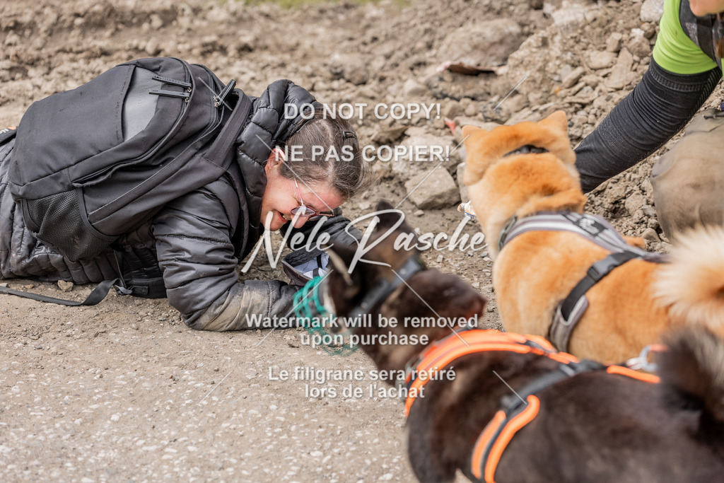 6Z1A2138 | nelerasche
