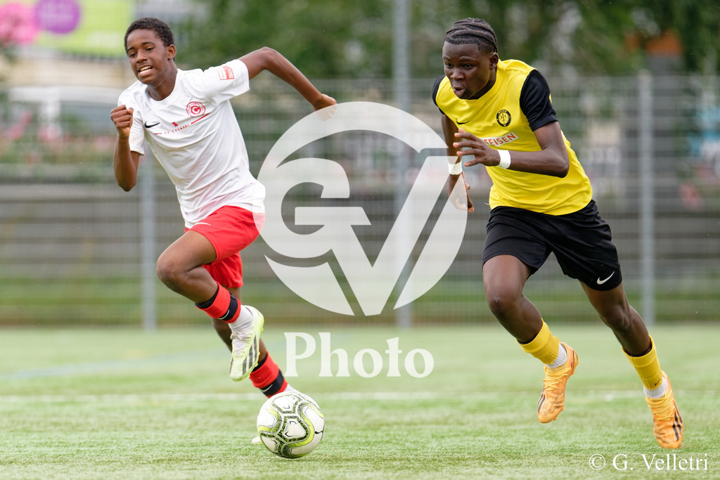 DSC_6882 | Velletri Photo