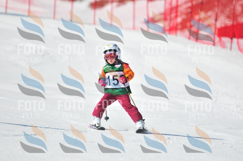 C2462 | holidayphoto