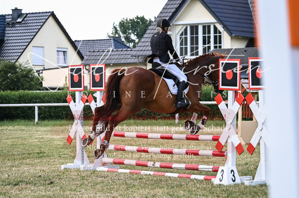 DSC_8448 | Pferde- und Turnierfotografie in Westsachsen. Pferdeportraits, Auftragszeichnungen und intuitive Kunst.