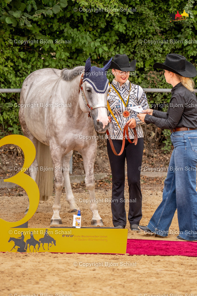 LMS06865 | BS-foto