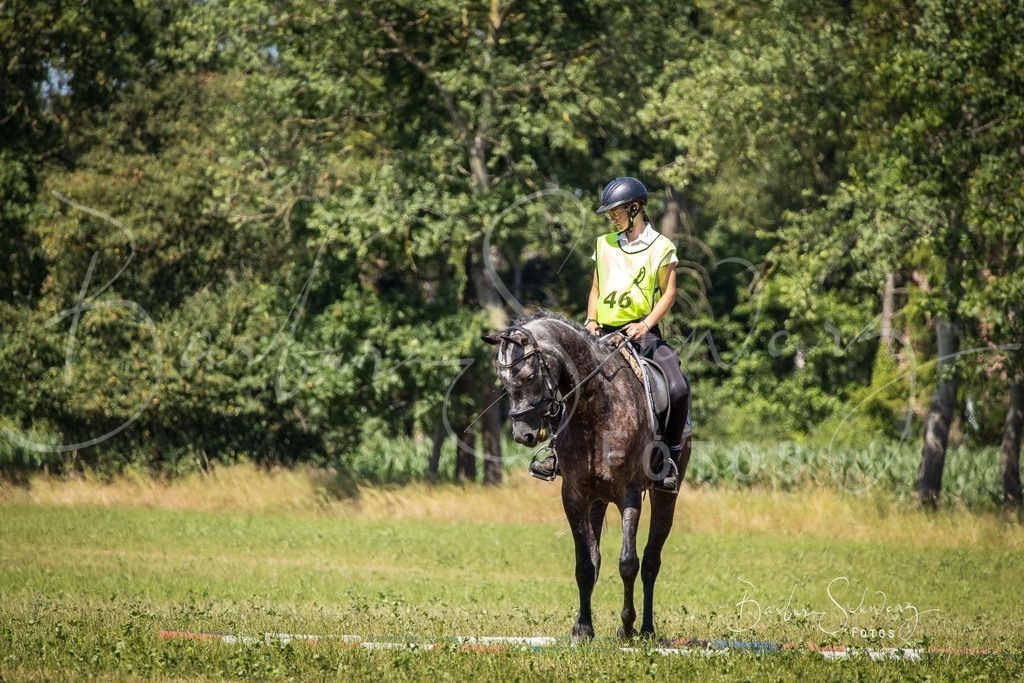 CJP_2026-06-26_126 | Stimmungsvolle Fotografie von Pferden, fotografische Begleitung von Veranstaltungen, Golfturnieren und Distanzritten - Realisiert mit Pictrs.com
