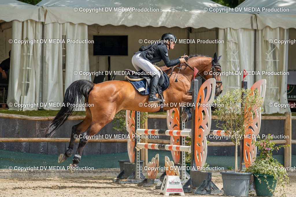 Hessische Tag 1-1352 | dv-media-shop - Realisiert mit Pictrs.com