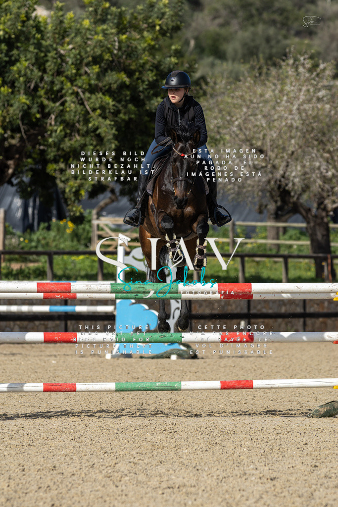 IMG_6868 | s-jay-photography - Realisiert mit Pictrs.com