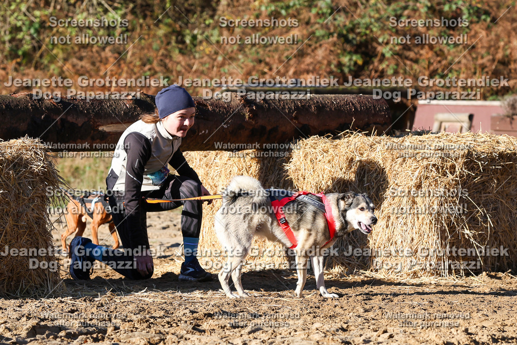 Dog Paparazzi - Strongdog 10-25-1606 | Dog Paparazzi Jeanette Grottendiek Fotografie & Videografie - Realisiert mit Pictrs.com