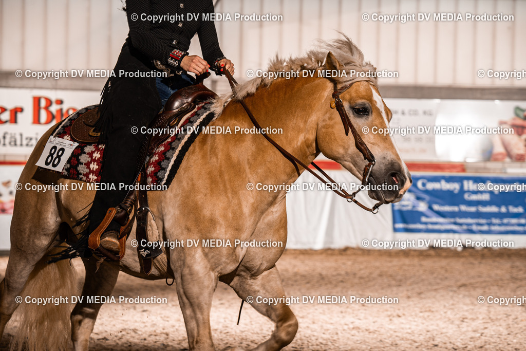 ZH300019 | dv-media-shop - Realisiert mit Pictrs.com