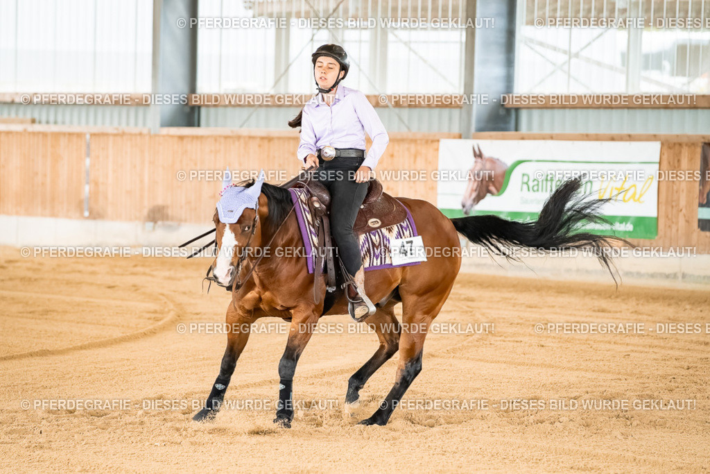 DSC01967 | Pferdegrafie