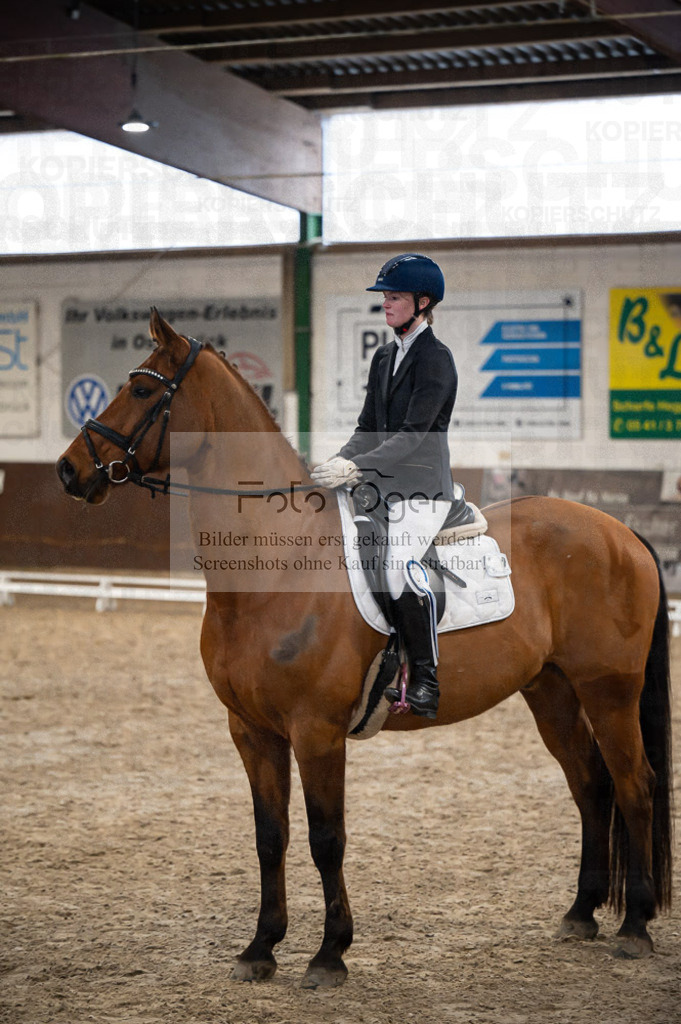 Hallenreittunier Voxtrup 2023 | Entdecke hochwertige Reitturnierfotos von Foto Oger. Professionell, emotional und authentisch – jetzt Lieblingsmomente im Shop bestellen.Deutschlandweite Turnierfotografie. - Realisiert mit Pictrs.com